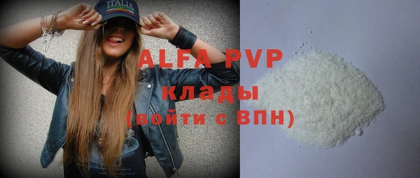 Альфа ПВП Гусев