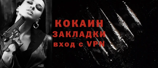 винт Гусь-Хрустальный