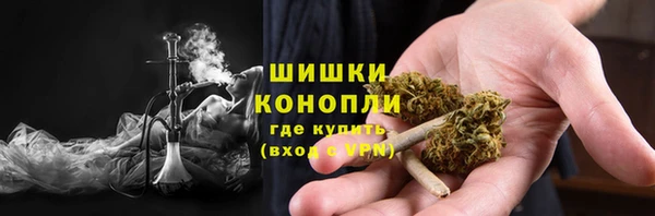 Альфа ПВП Гусев