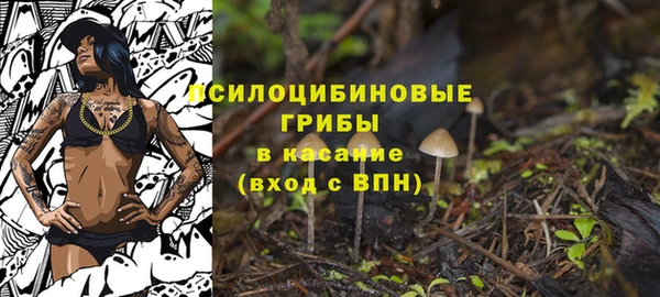 винт Гусь-Хрустальный
