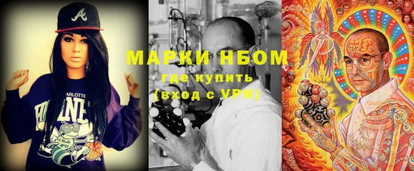 Альфа ПВП Гусев