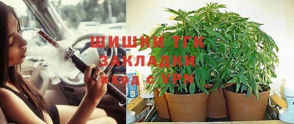 Альфа ПВП Гусев