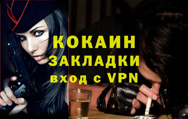 винт Гусь-Хрустальный