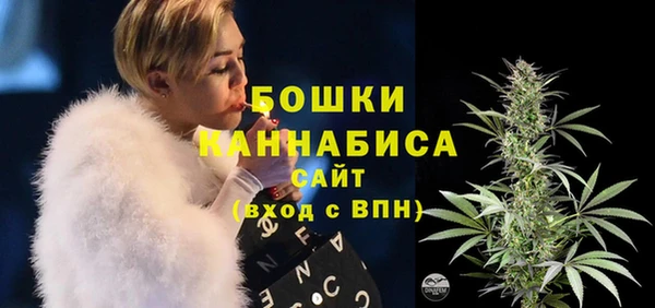винт Гусь-Хрустальный