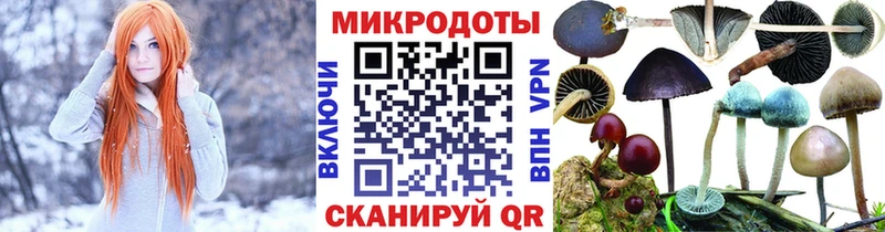 как найти наркотики  Моршанск  hydra как войти  Псилоцибиновые грибы Cubensis 