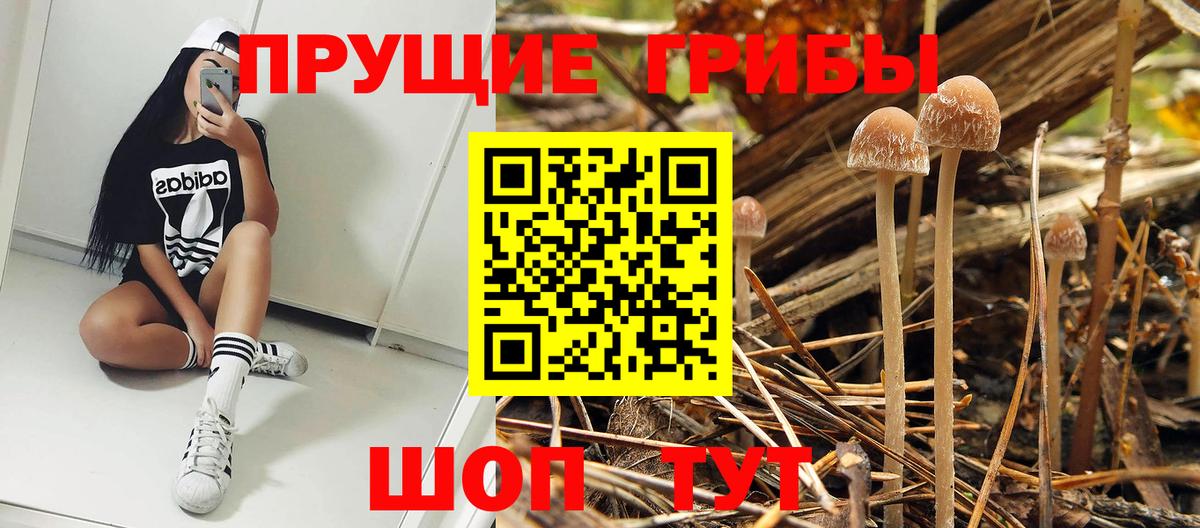 Галлюциногенные грибы ЛСД  Моршанск 