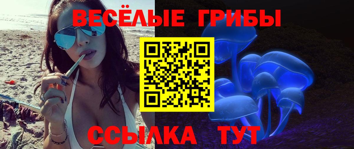 Галлюциногенные грибы Magic Shrooms  купить  цена  Псилоцибиновые грибы прущие грибы  Моршанск  Вход с VPN 