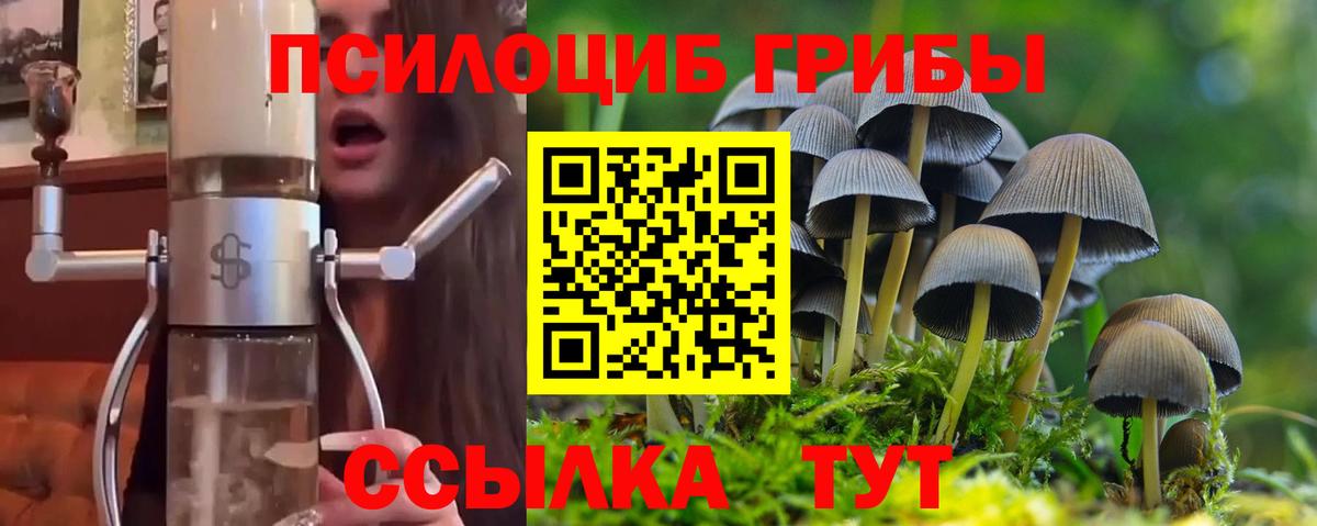 Псилоцибиновые грибы прущие грибы Моршанск